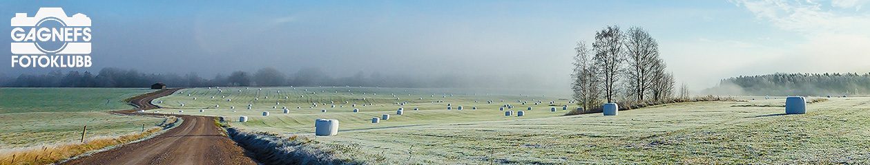 Gagnefs Fotoklubb