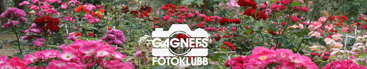 Gagnefs Fotoklubb