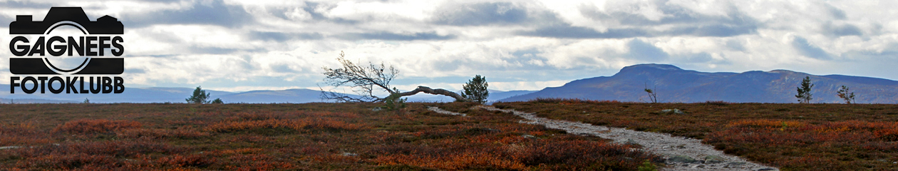 Gagnefs Fotoklubb