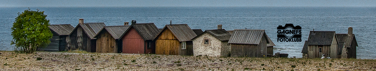 Gagnefs Fotoklubb